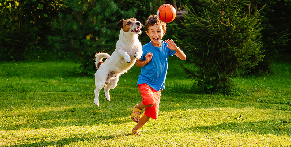 kid and his pet having a good time playing with a ball