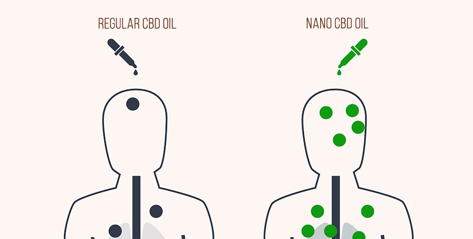 difference of bioavailability between nano and regular cbd oil